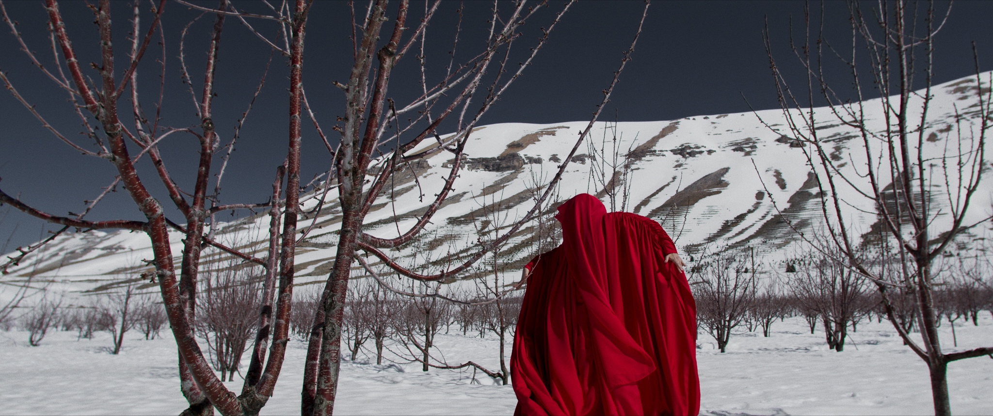 Al Deek still 3